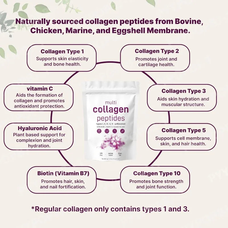 Multi-Collagen Peptides Powder – Hydrolyzed Collagen Blend with Vitamin C & Biotin  Supports Skin, Hair, Nail, and Joint